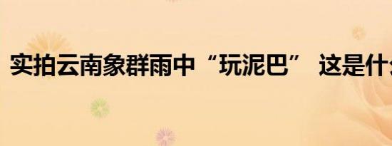 实拍云南象群雨中“玩泥巴” 这是什么场面