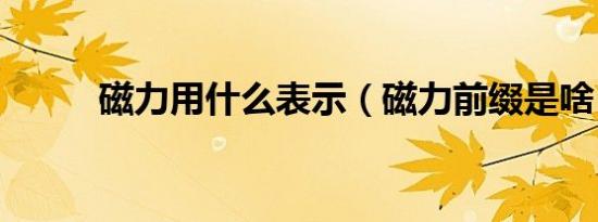 磁力用什么表示（磁力前缀是啥）