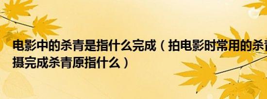 电影中的杀青是指什么完成（拍电影时常用的杀青来表示拍摄完成杀青原指什么）