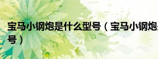 宝马小钢炮是什么型号（宝马小钢炮是什么型号）