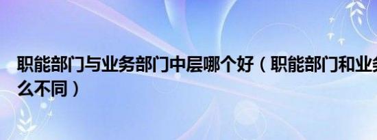 职能部门与业务部门中层哪个好（职能部门和业务部门有什么不同）
