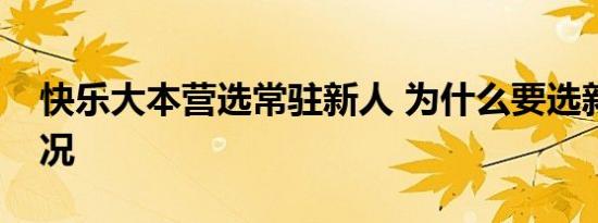 快乐大本营选常驻新人 为什么要选新人啥情况