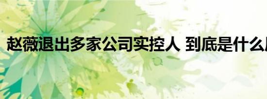 赵薇退出多家公司实控人 到底是什么原因呢