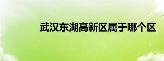 武汉东湖高新区属于哪个区