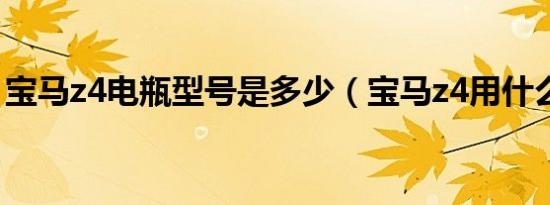 宝马z4电瓶型号是多少（宝马z4用什么电瓶）