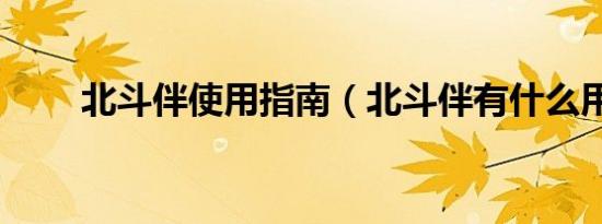北斗伴使用指南（北斗伴有什么用）