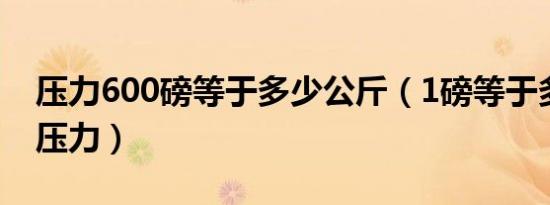 压力600磅等于多少公斤（1磅等于多少公斤压力）