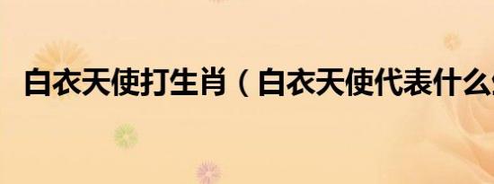 白衣天使打生肖（白衣天使代表什么生肖）