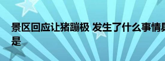 景区回应让猪蹦极 发生了什么事情具体经过是