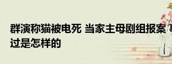群演称猫被电死 当家主母剧组报案 事情的经过是怎样的