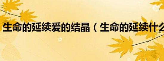 生命的延续爱的结晶（生命的延续什么意思）