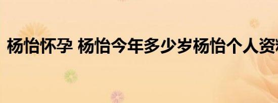 杨怡怀孕 杨怡今年多少岁杨怡个人资料简介