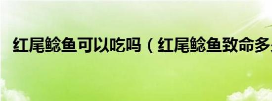 红尾鲶鱼可以吃吗（红尾鲶鱼致命多少年）