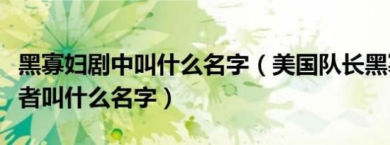黑寡妇剧中叫什么名字（美国队长黑寡妇扮演者叫什么名字）