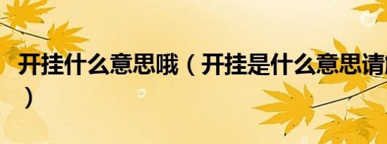 开挂什么意思哦（开挂是什么意思请解释一下）