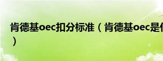 肯德基oec扣分标准（肯德基oec是什么意思）