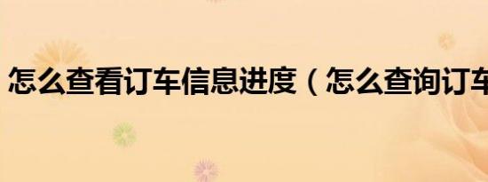 怎么查看订车信息进度（怎么查询订车信息）