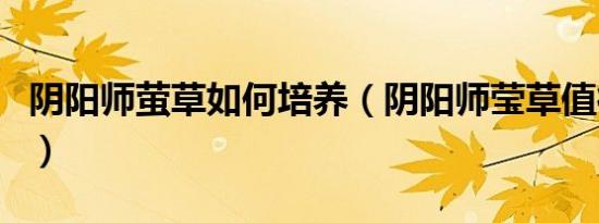 阴阳师萤草如何培养（阴阳师莹草值得培养吗）