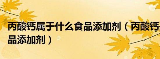丙酸钙属于什么食品添加剂（丙酸钙是什么食品添加剂）