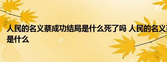 人民的名义蔡成功结局是什么死了吗 人民的名义蔡成功下场是什么