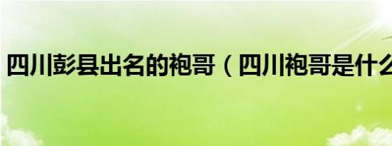 四川彭县出名的袍哥（四川袍哥是什么意思）