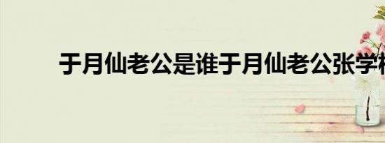 于月仙老公是谁于月仙老公张学松