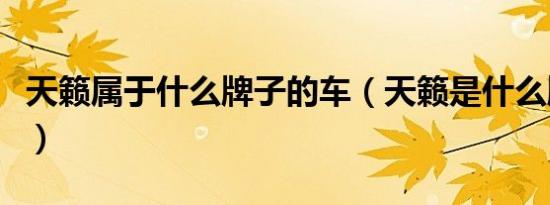 天籁属于什么牌子的车（天籁是什么牌子的车）