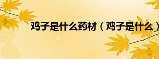 鸡子是什么药材（鸡子是什么）