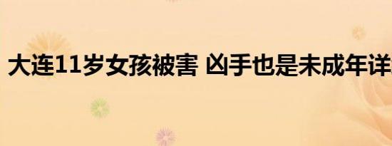 大连11岁女孩被害 凶手也是未成年详细情况