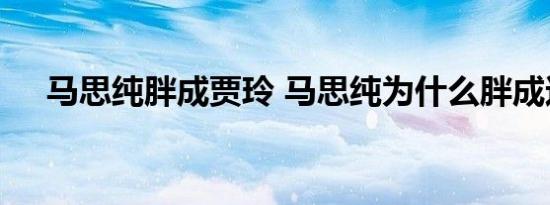 马思纯胖成贾玲 马思纯为什么胖成这样