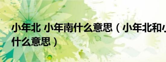 小年北 小年南什么意思（小年北和小南北是什么意思）