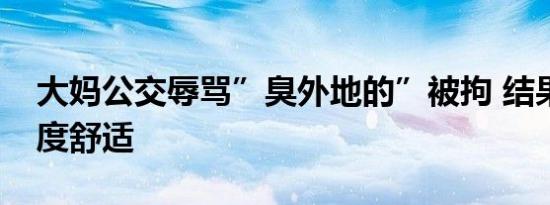 大妈公交辱骂”臭外地的”被拘 结果引起极度舒适