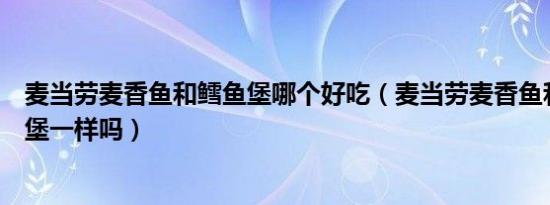 麦当劳麦香鱼和鳕鱼堡哪个好吃（麦当劳麦香鱼和深海鳕鱼堡一样吗）