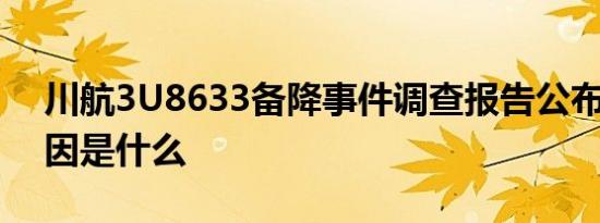 川航3U8633备降事件调查报告公布 事件原因是什么