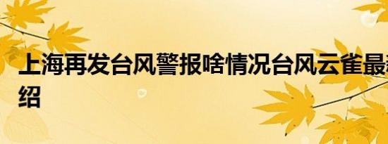 上海再发台风警报啥情况台风云雀最新消息介绍