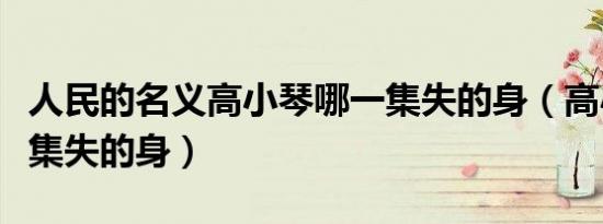 人民的名义高小琴哪一集失的身（高小琴哪一集失的身）