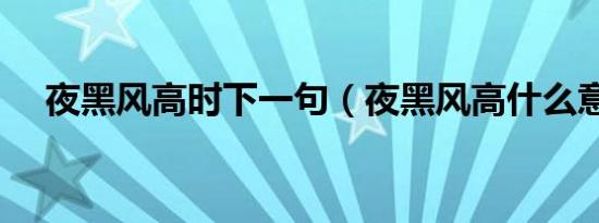 夜黑风高时下一句（夜黑风高什么意思）