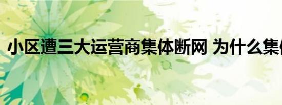 小区遭三大运营商集体断网 为什么集体断网