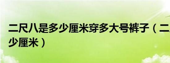 二尺八是多少厘米穿多大号裤子（二尺八是多少厘米）