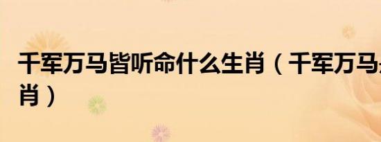 千军万马皆听命什么生肖（千军万马是什么生肖）
