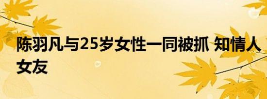 陈羽凡与25岁女性一同被抓 知情人：是同居女友