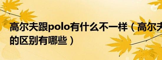 高尔夫跟polo有什么不一样（高尔夫与polo的区别有哪些）