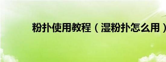 粉扑使用教程（湿粉扑怎么用）