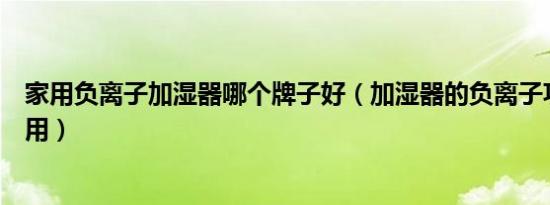 家用负离子加湿器哪个牌子好（加湿器的负离子功能有什么用）