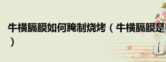 牛横膈膜如何腌制烧烤（牛横膈膜是哪个部位）