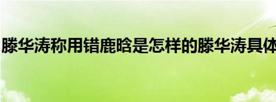 滕华涛称用错鹿晗是怎样的滕华涛具体说了啥