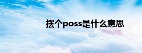 摆个poss是什么意思