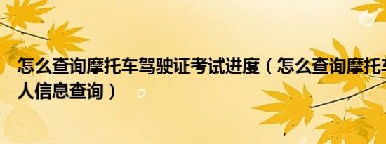 怎么查询摩托车驾驶证考试进度（怎么查询摩托车驾驶证个人信息查询）
