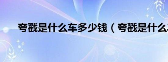 夸戳是什么车多少钱（夸戳是什么车）