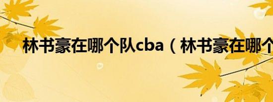 林书豪在哪个队cba（林书豪在哪个队）